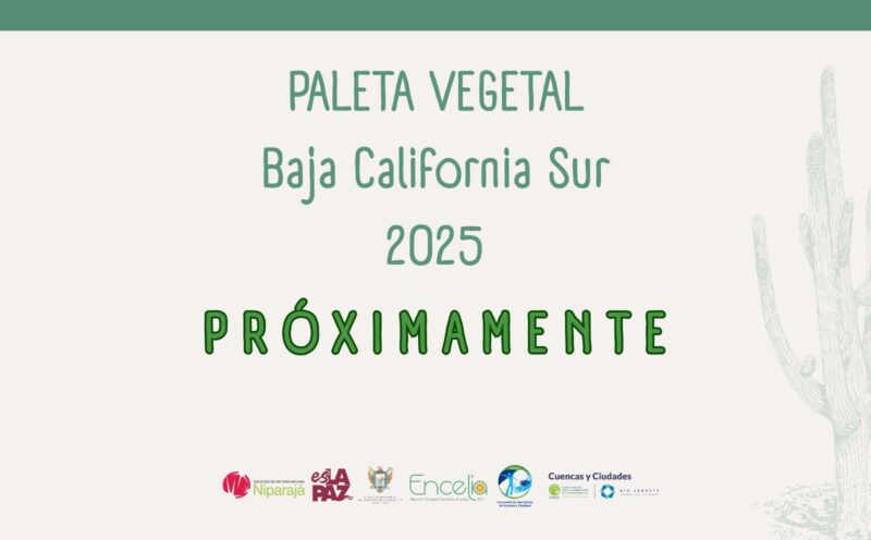Paleta Vegetal Niparajá 2025